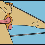 Penis Stretcher - LengthMaster 3 - Penis Bundle Stretcher & Weight Hanging